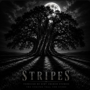 Stripes — cover art
