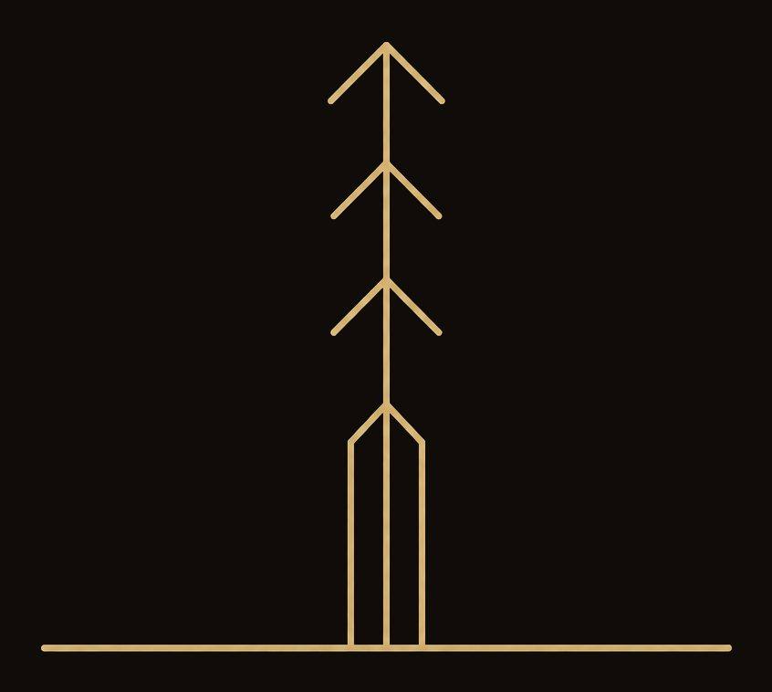 A line-drawn tree rising tall from a level ground line — the mark for Elevate.