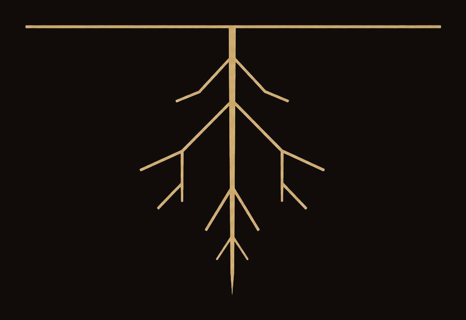 A line-drawn root system descending from a level ground line — the mark for Root.