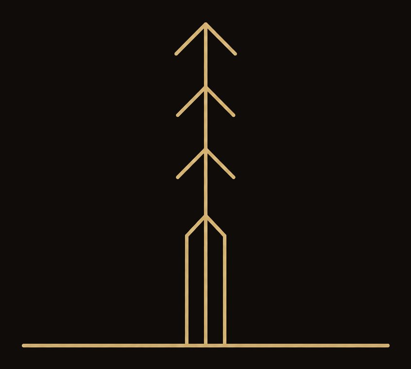 A line-drawn tree rising tall from a level ground line — the mark for Elevate.