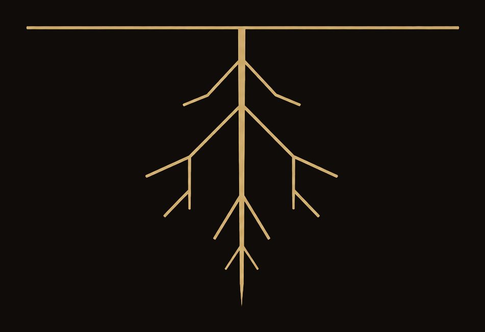 A line-drawn root system descending from a level ground line — the mark for Root.